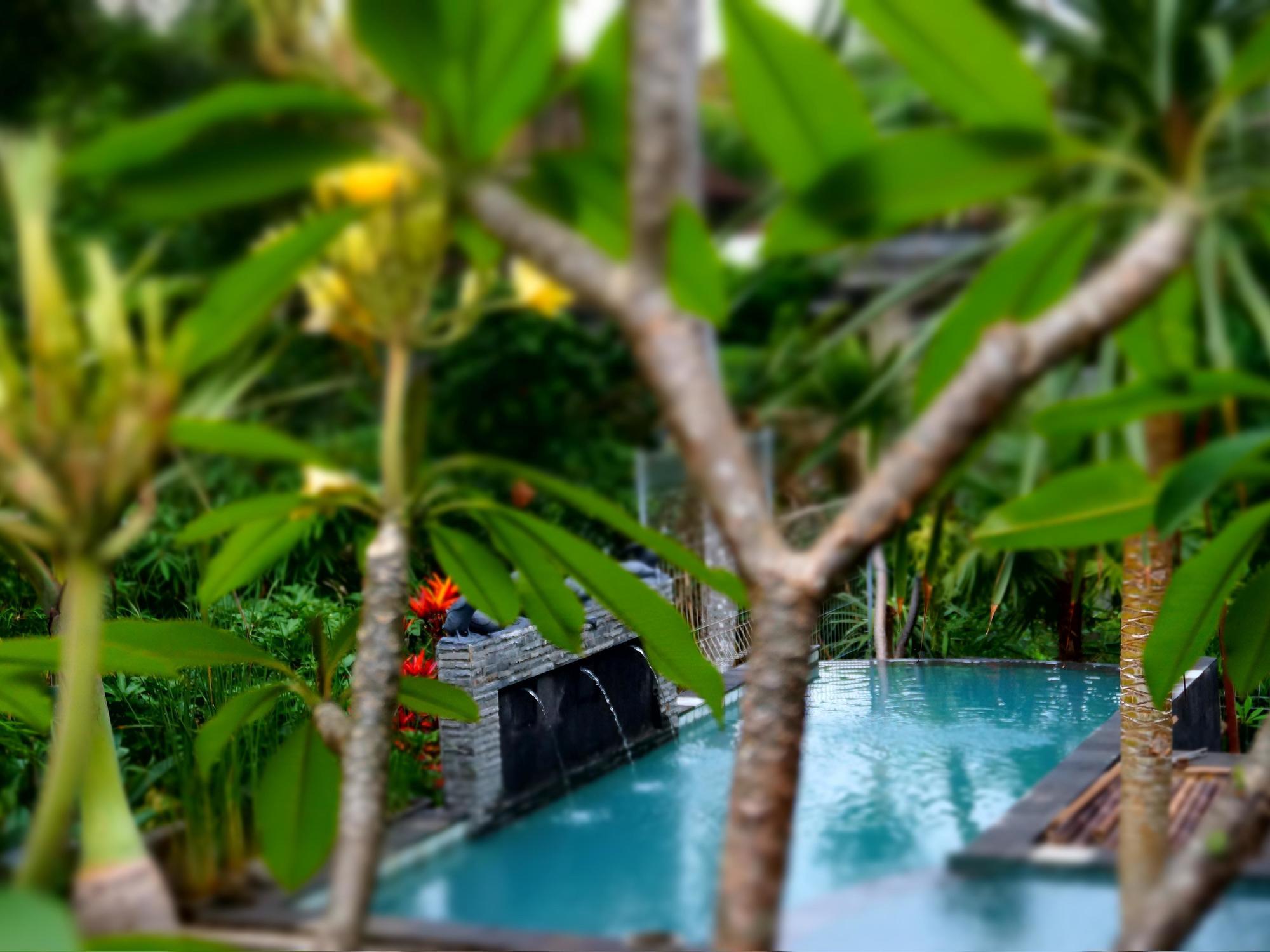 Desak Putu Putra Hidden Hotel Ubud Kültér fotó