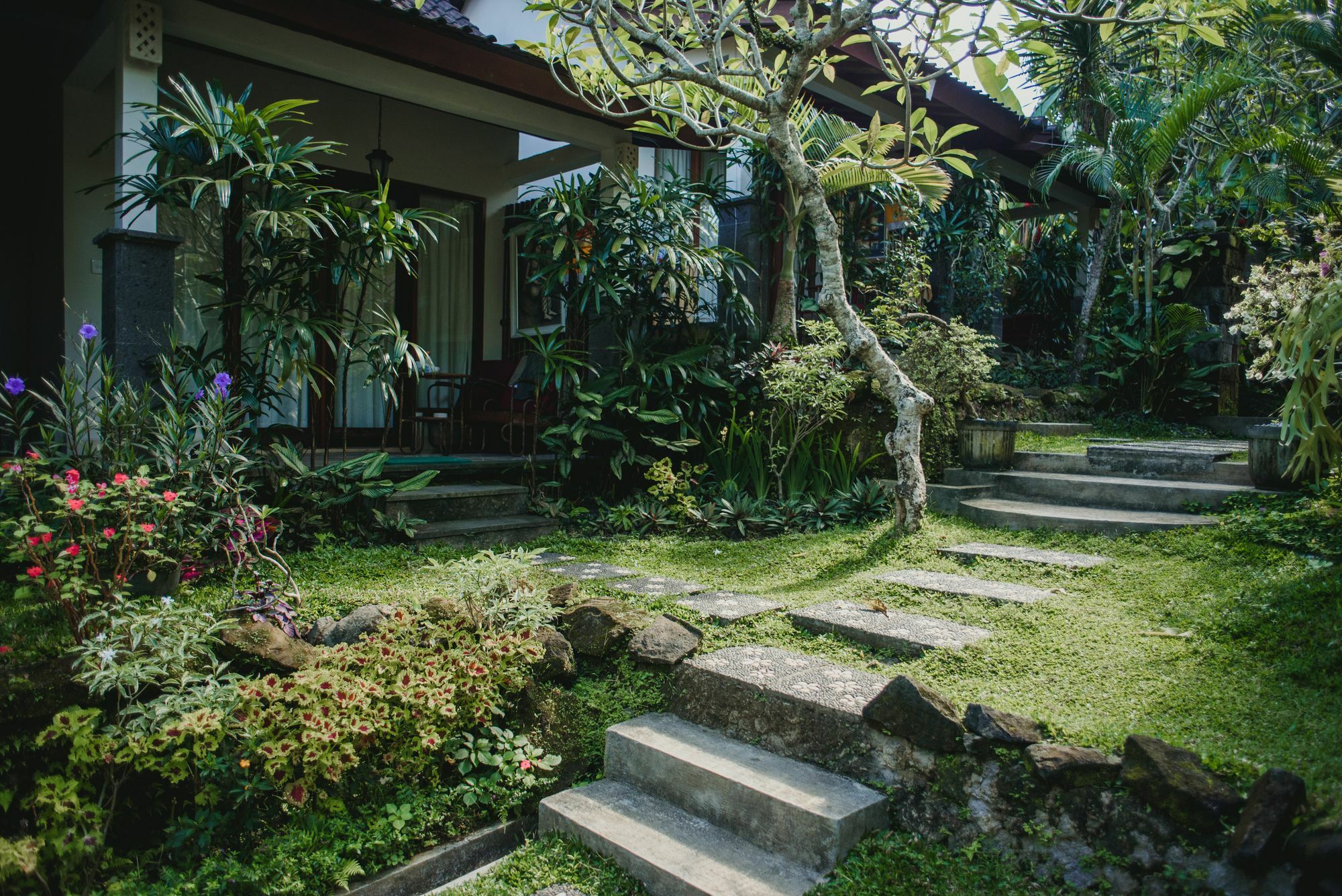 Desak Putu Putra Hidden Hotel Ubud Kültér fotó
